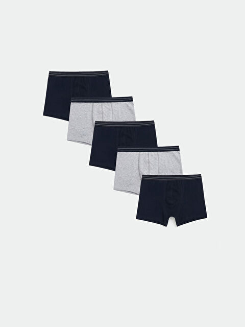 LC WAIKIKI Standart Kalıp Pamuklu Esnek Erkek Boxer 5'li - S60817Z8-DWP