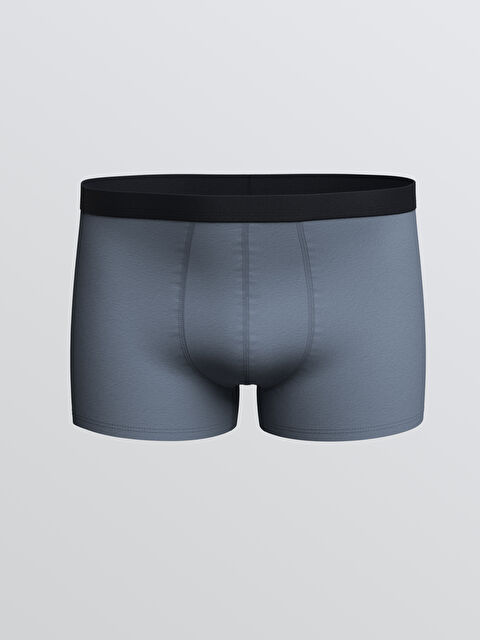 LC WAIKIKI Standart Kalıp Pamuklu Esnek Erkek Boxer - S60828Z8-H9N
