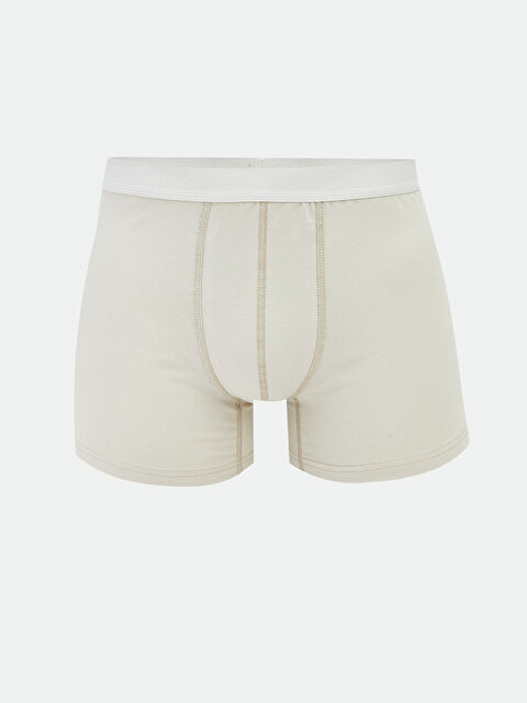 LC WAIKIKI Standart Kalıp Erkek Boxer - S60828Z8-G7L