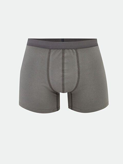 LC WAIKIKI Standart Kalıp Pamuklu Esnek Erkek Boxer - S60828Z8-GYQ