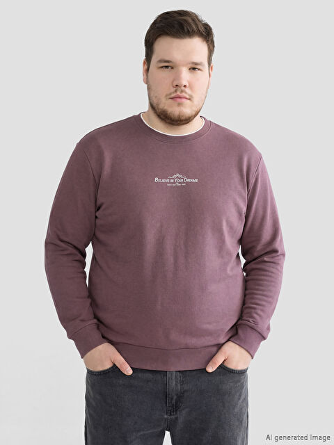 LCWAIKIKI Classic Regular Fit Bisiklet Yaka Baskılı Erkek Sweatshirt