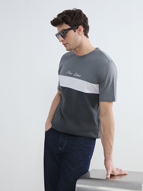 LCWAIKIKI Classic Bisiklet Yaka Renk Bloklu Penye Erkek Tişört - S61663Z8-LE0