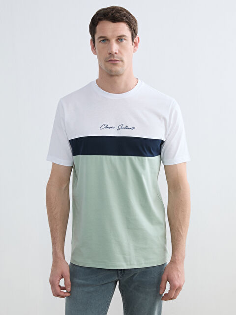LCWAIKIKI Classic Crew Neck Color Block Jersey Men's T-Shirt - S65118Z8-LFM