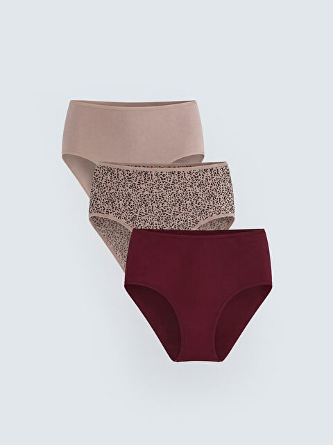 LCW DREAM Leopar Desenli Klasik Külot 3'lü - S66775Z8-LQY