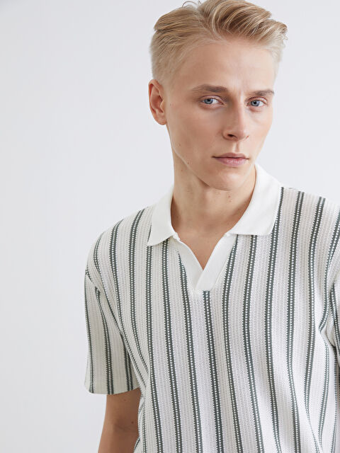 LCW Vision Polo Yaka Çizgili Penye Erkek Tişört - S68221Z8-LFT