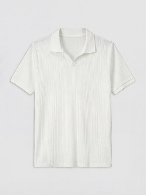 LCWAIKIKI Classic Polo Yaka Strüktürlü Erkek Tişört