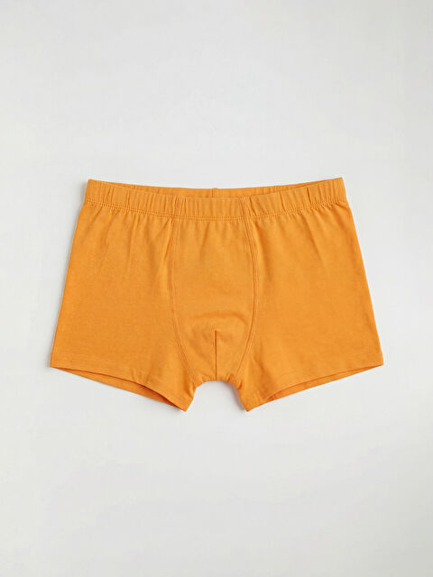 LCW Kids Erkek Çocuk Basic Boxer - S68824Z4-GAA