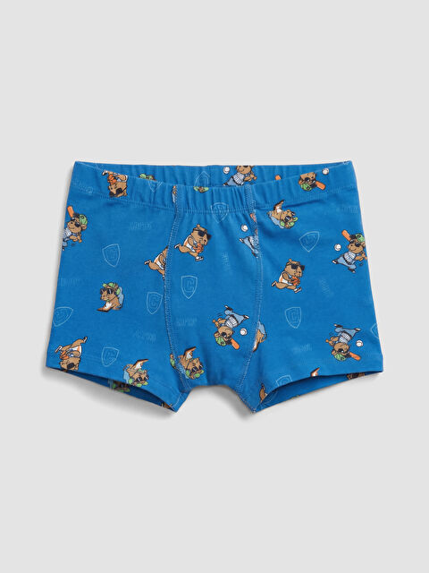 LCW Kids Desenli Erkek Çocuk Boxer - S68824Z4-LSJ