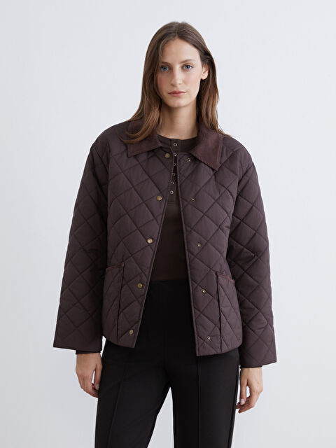 LCWAIKIKI Classic Kadife Gömlek Yaka Kapitone Kadın Şişme Mont - S69285Z8-MC8