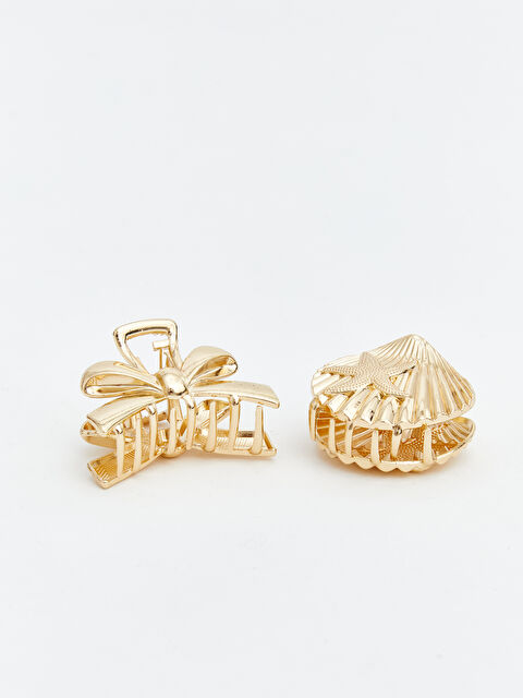 LCW ACCESSORIES Kadın Mandal Toka Seti 2'li - S69652Z8-M0T