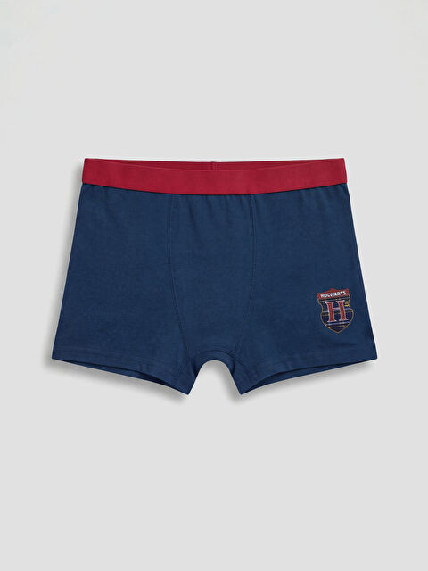 LCW Kids Erkek Çocuk Harry Potter Baskılı Boxer