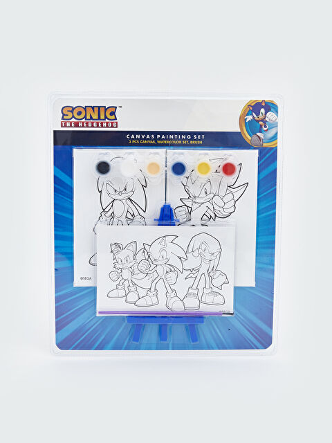 LCW ACCESSORIES Sonic Baskılı Sulu Boya Seti - S6AN53Z4-M0T