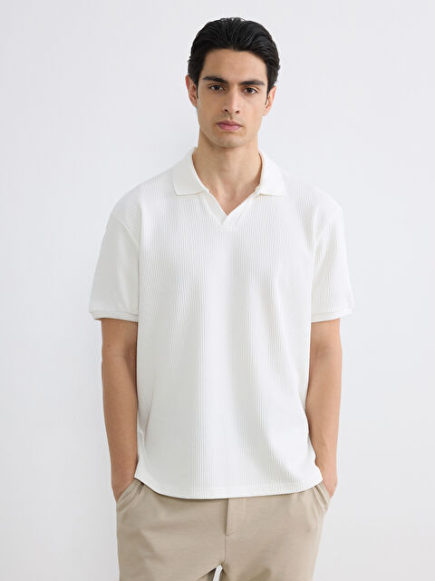 LCW Vision Polo Shirt for Men - S6BO56Z8-R9J