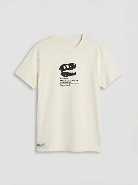 LC WAIKIKI Bisiklet Yaka Baskılı Erkek Çocuk Tişört - S6CE67Z4-R9J