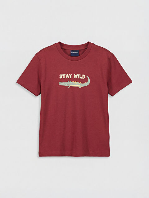 LC WAIKIKI Bisiklet Yaka Baskılı Erkek Çocuk Tişört - S6CH56Z1-L0J