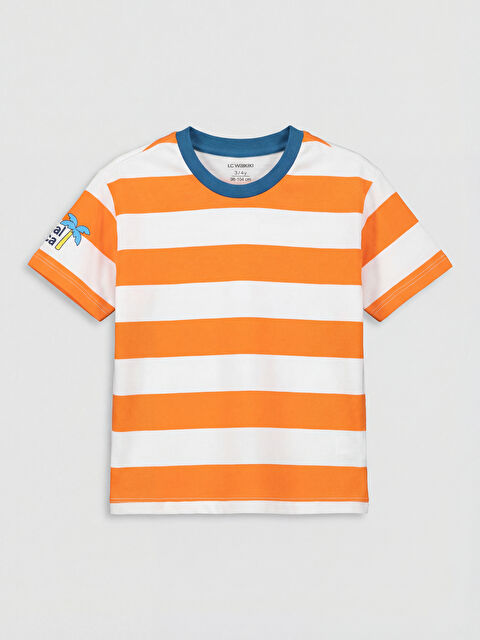 LC WAIKIKI Bisiklet Yaka Çizgili Erkek Bebek Tişört - S6CI24Z1-GGF