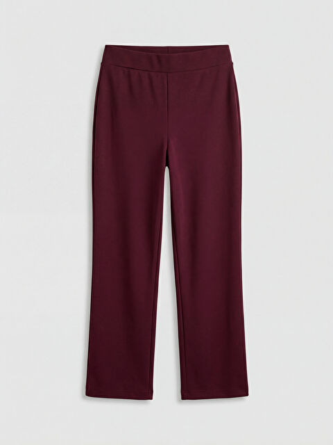 LCW Vision Woman PLUM Sweatpants - S6CK12Z8-HNV
