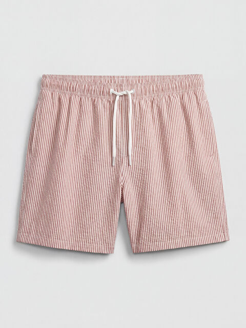 LCW SWIMWEAR Çizgili Erkek Deniz Şortu - S6DH77Z8-GXS