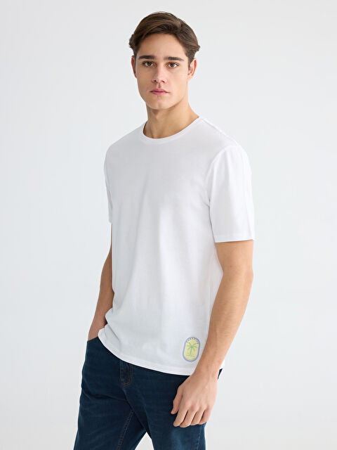 LCW ECO Plus Size Crew Neck Printed Cotton Men's T-Shirt - S6DJ45Z8-Q6K