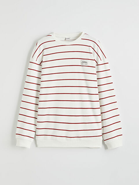 LCW Kids Bisiklet Yaka Çizgili Erkek Çocuk Sweatshirt - S6DR97Z4-LTQ