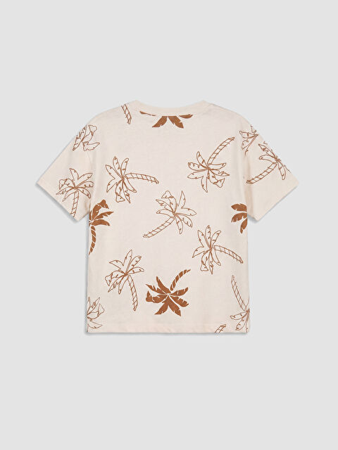 LCW baby Dječak BEŽ Komplet