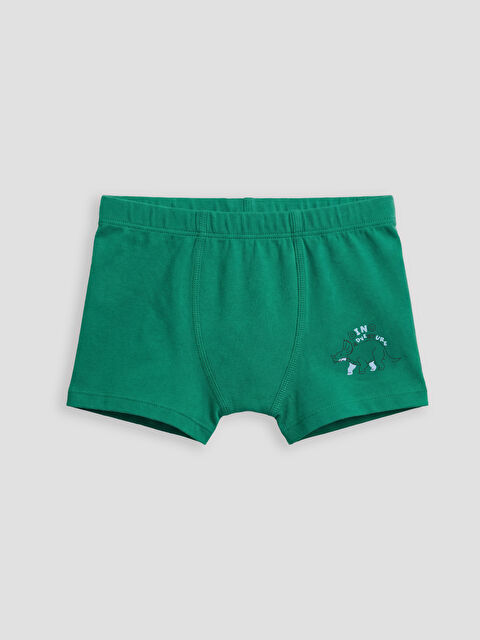 LCW Kids Erkek Çocuk Boxer