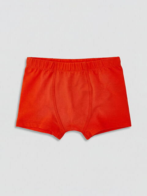 LCW Kids Erkek Çocuk Boxer