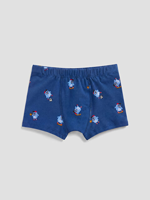 LCW Kids Erkek Çocuk Boxer