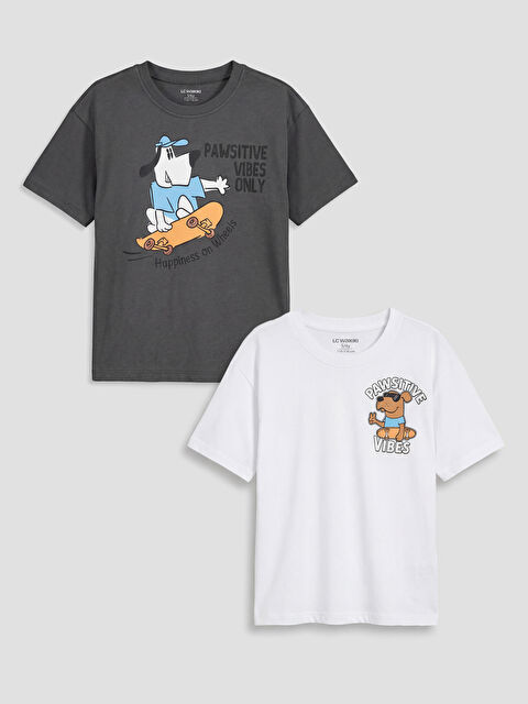 LCW Kids Bisiklet Yaka Baskılı Erkek Çocuk Tişört 2'li  - S6H388Z1-Q6K