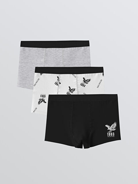 LCW Kids Baskılı Erkek Çocuk Boxer 3'lü - S6H926Z1-LU7