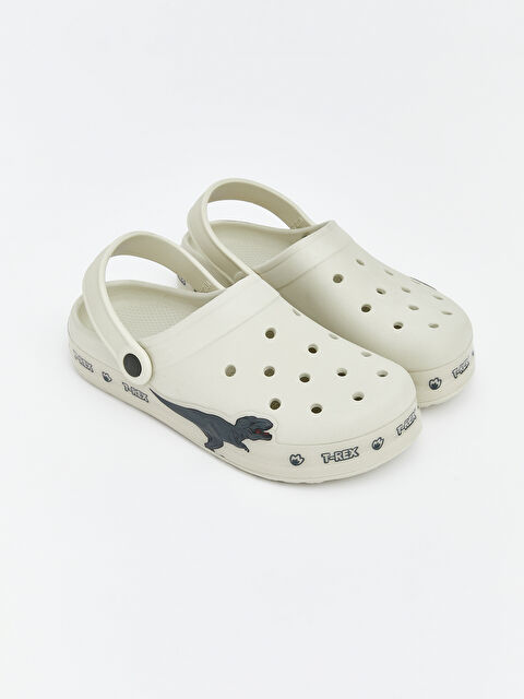 LCW STEPS Dinozor Baskılı Erkek Çocuk Plaj Sandaleti - S6K758Z4-CR8