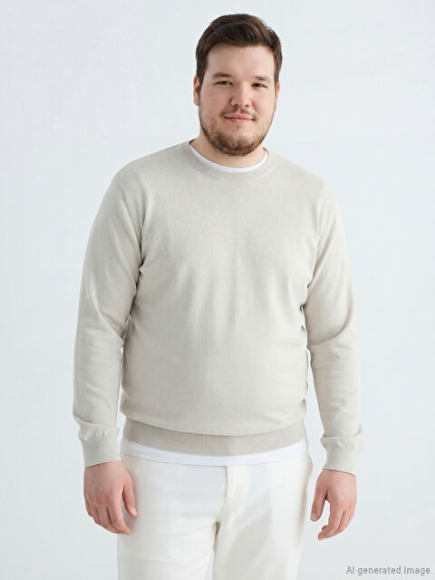 LCWAIKIKI Classic Bisiklet Yaka Erkek Triko Kazak