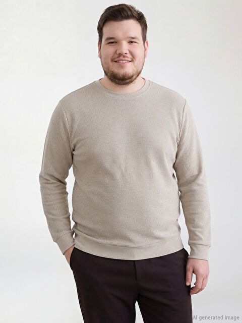 LCWAIKIKI Classic Bisiklet Yaka Erkek Sweatshirt