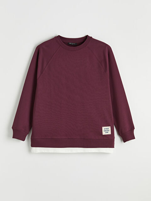 LCW Comfort Bisiklet Yaka Baskılı Oversize Kadın Sweatshirt - S6M765Z8-HNV