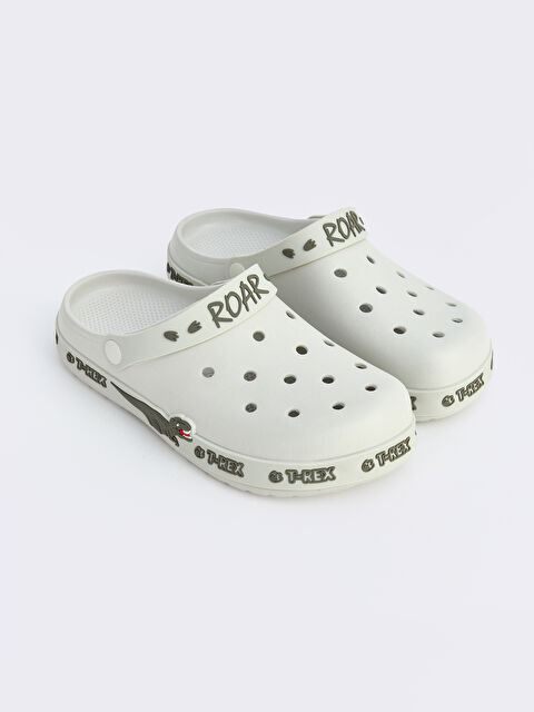 LCW STEPS Dinozor Baskılı Erkek Çocuk Plaj Sandaleti