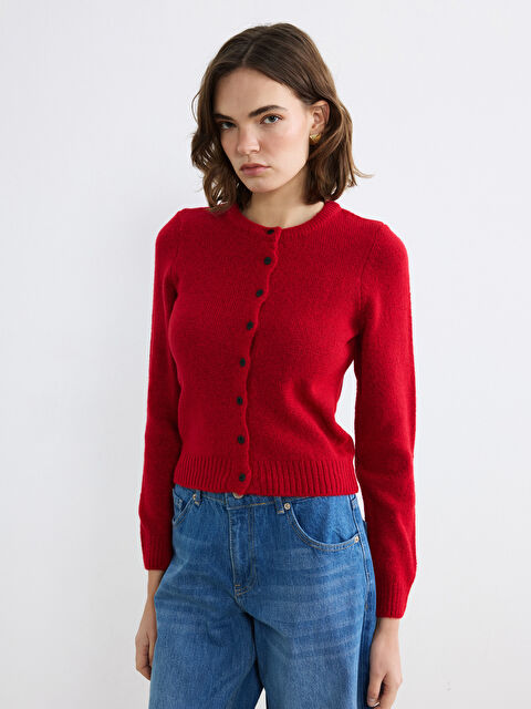 LCW Vision Bisiklet Yaka Kadın Triko Hırka - S6ME75Z8-R3R