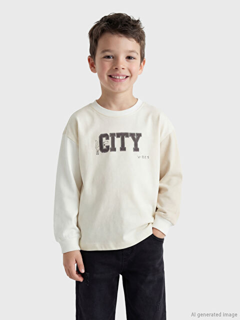 LCW Kids Bisiklet Yaka Renk Bloklu Erkek Çocuk Sweatshirt - S6MF21Z1-FWM