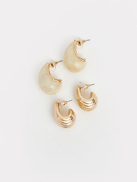 LCW ACCESSORIES Damla Figürlü Kadın Küpe Seti 2'li - S6NB25Z8-J5T