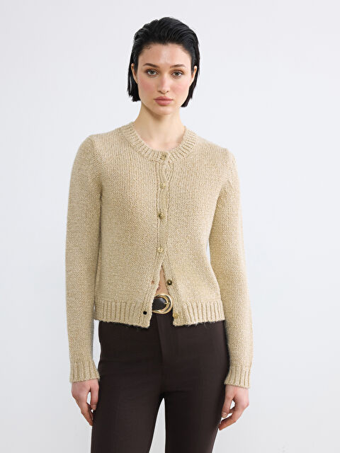 LCW Vision Bisiklet Yaka Kadın Triko Hırka - S6NB94Z8-SLR