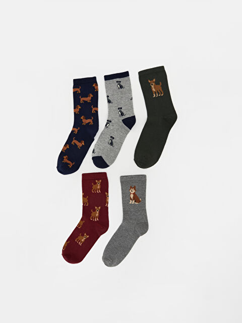 LCW Kids  Desenli Erkek Çocuk Soket Çorap 5'li - S6OK81Z4-K00