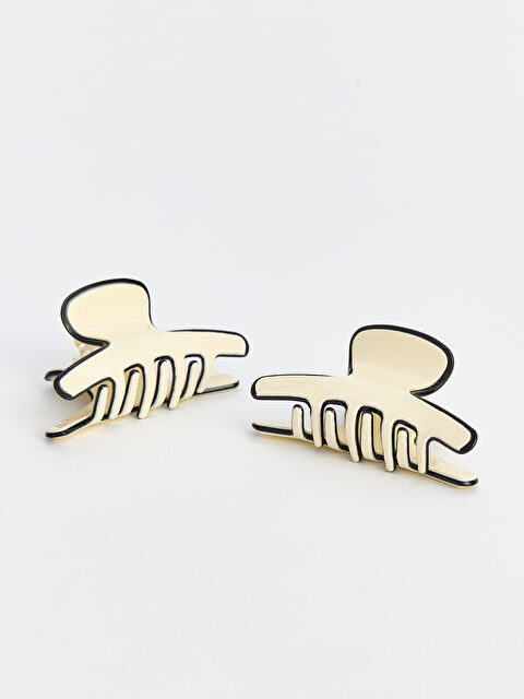 LCW ACCESSORIES Kadın Mandal Toka Seti 2'li