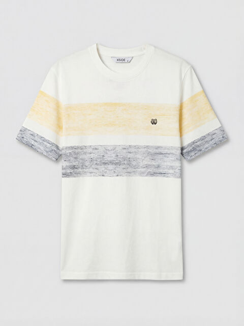 XSIDE Bisiklet Yaka Renk Bloklu Penye Erkek Tişört