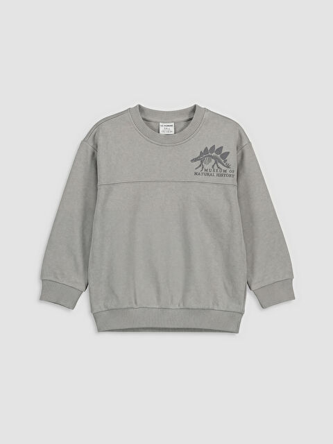 LCW Kids Bisiklet Yaka Baskılı Erkek Çocuk Sweatshirt - S6A730Z1-GE9