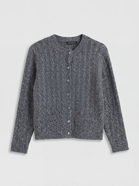 LCW Modest Bisiklet Yaka Payet İşlemeli Kadın Triko Hırka - S6B833Z8-ZZB