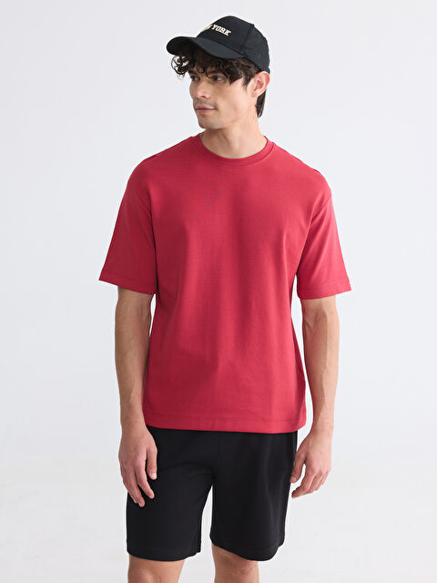 XSIDE Regular Fit Bisiklet Yaka Erkek Tişört