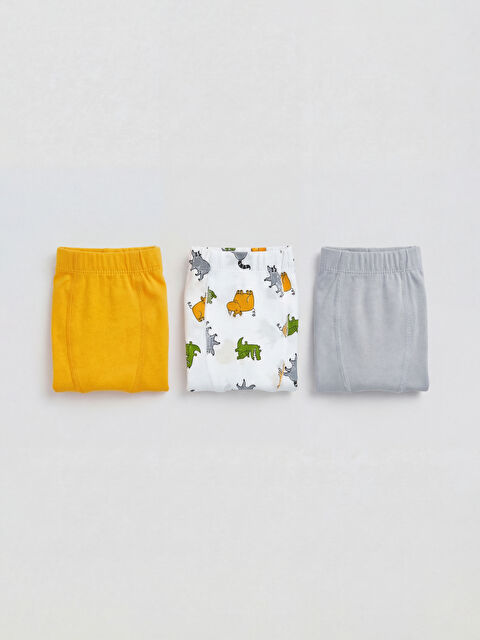 LCW Kids Erkek Çocuk 3'lü Boxer - S6Q738Z1-LU7