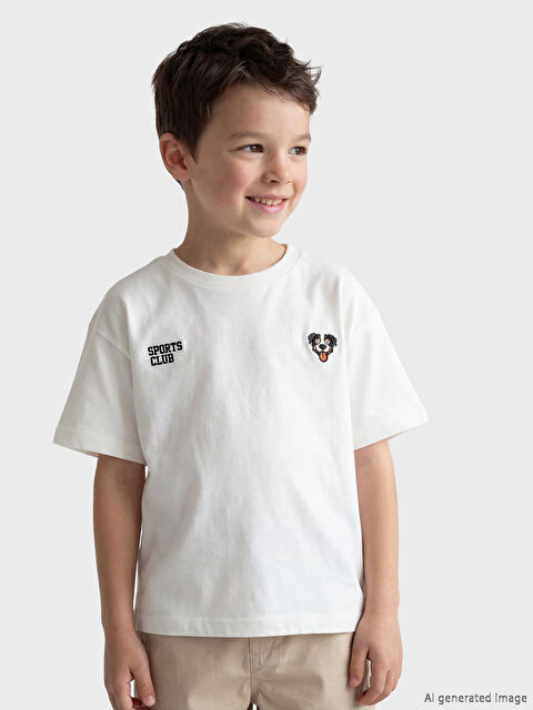 LCW Kids Bisiklet Yaka Nakışlı Erkek Çocuk Tişört