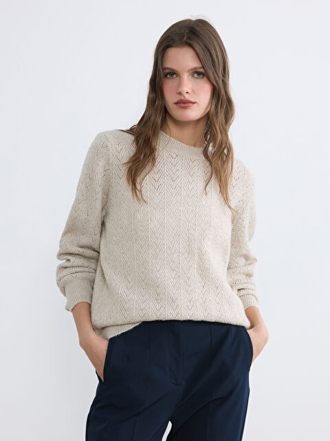 LCW EVERYDAY Bisiklet Yaka Parlak Dokulu Kadın Triko Kazak