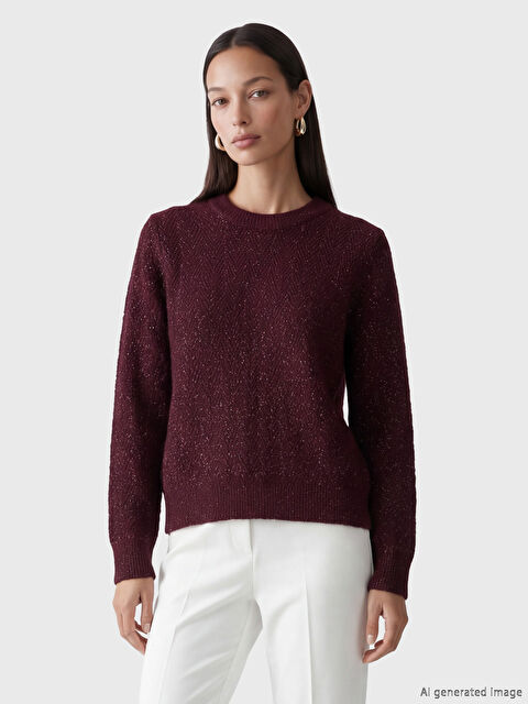 LCW EVERYDAY Bisiklet Yaka Parlak Dokulu Kadın Triko Kazak