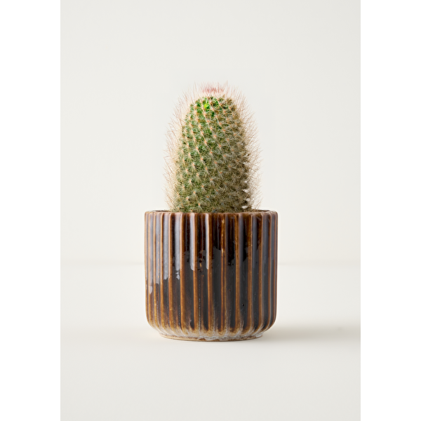 Bella Maison Lavea Seramik Saksı Gri (13x13x12 Cm)